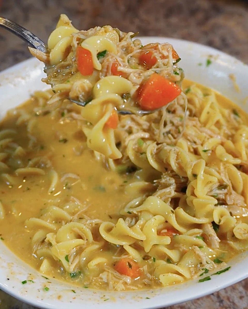 spoonful of chicken noodle soup
