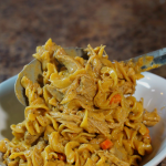 chicken and noodles in a bowl off a spoon
