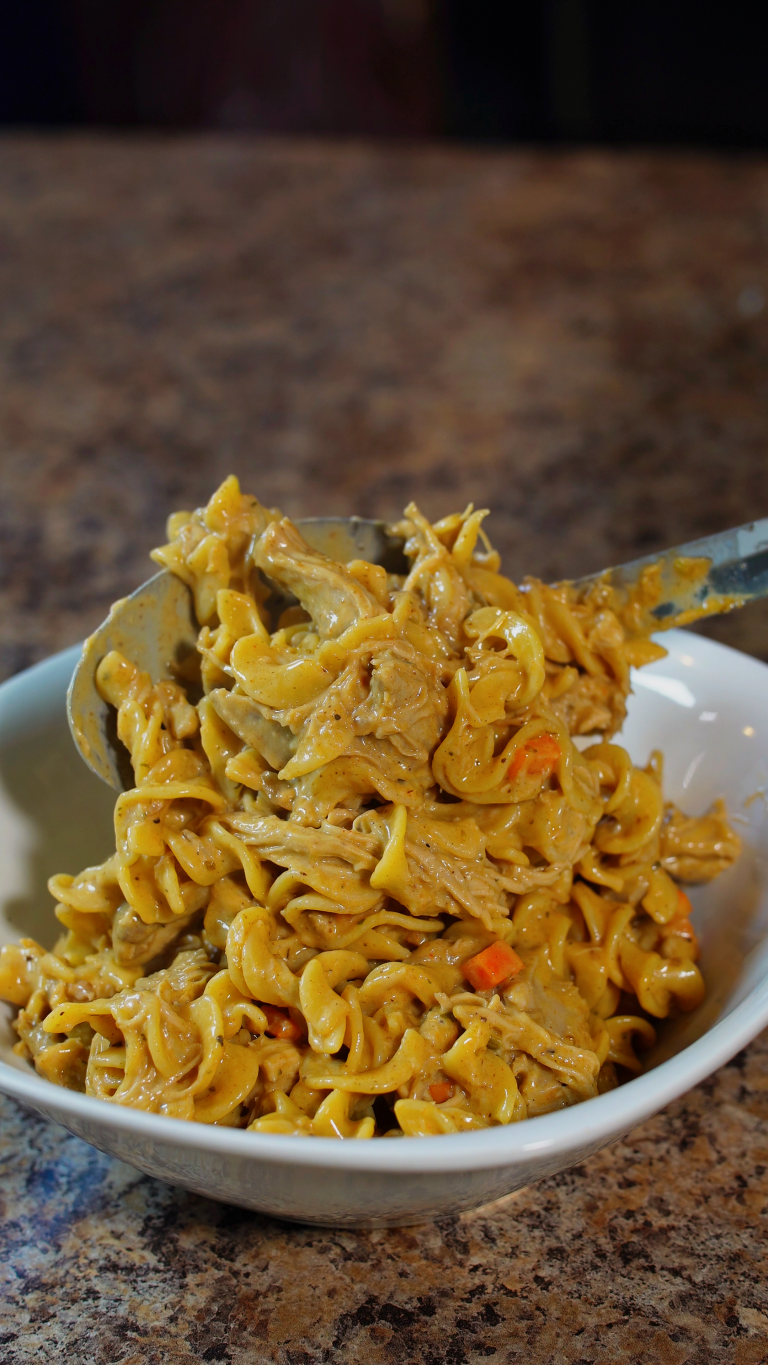 chicken and noodles in a bowl off a spoon